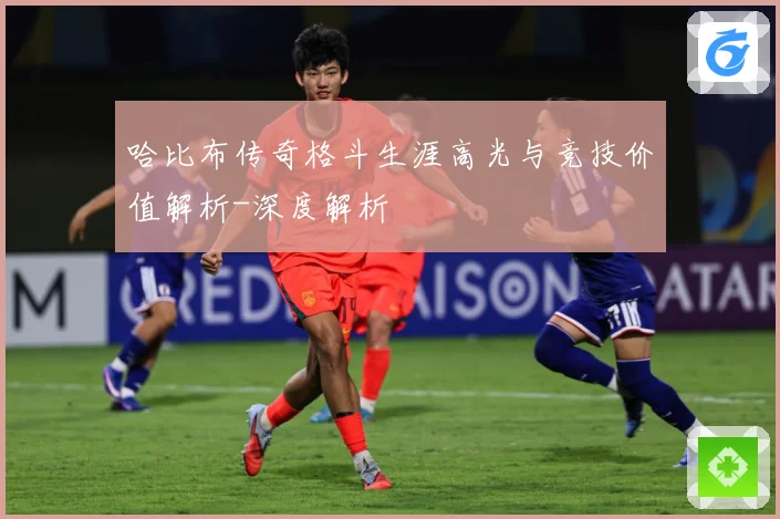 哈比布传奇格斗生涯高光与竞技价值解析-深度解析