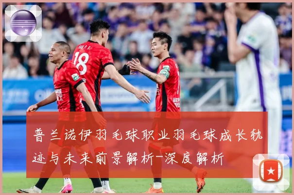 普兰诺伊羽毛球职业羽毛球成长轨迹与未来前景解析-深度解析