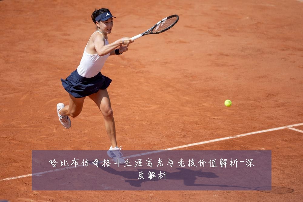 哈比布传奇格斗生涯高光与竞技价值解析-深度解析