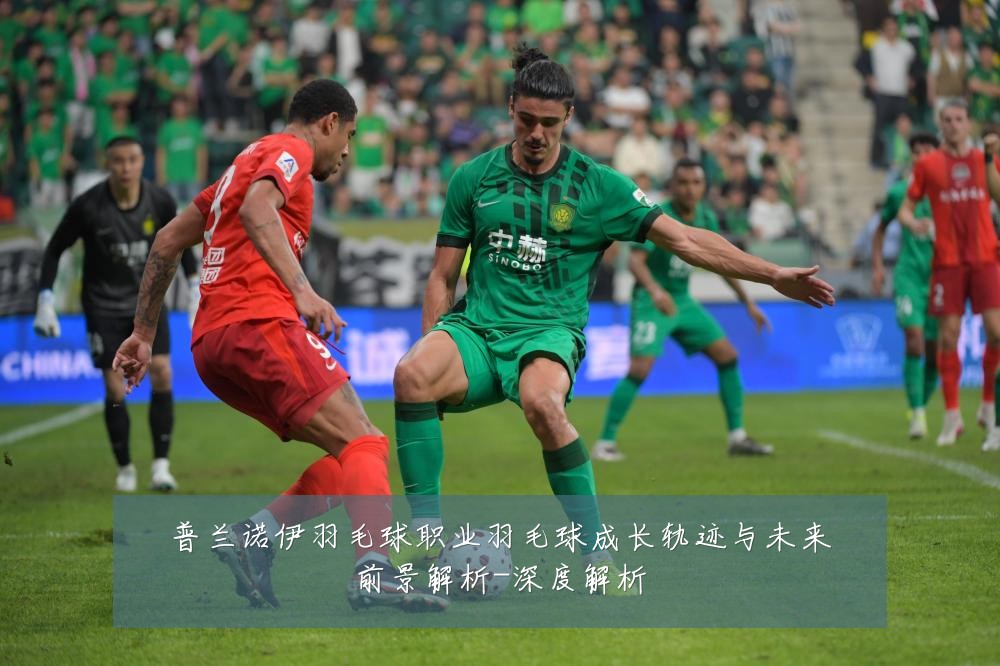 普兰诺伊羽毛球职业羽毛球成长轨迹与未来前景解析-深度解析